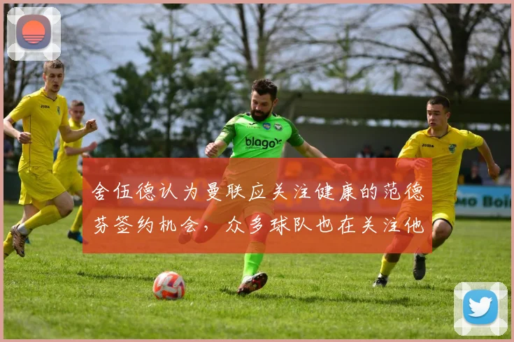 舍伍德认为曼联应关注健康的范德芬签约机会，众多球队也在关注他