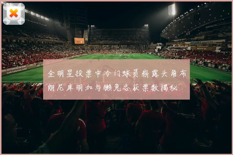 全明星投票中冷门球员崭露头角布朗尼库明加与獭兔各获票数揭秘