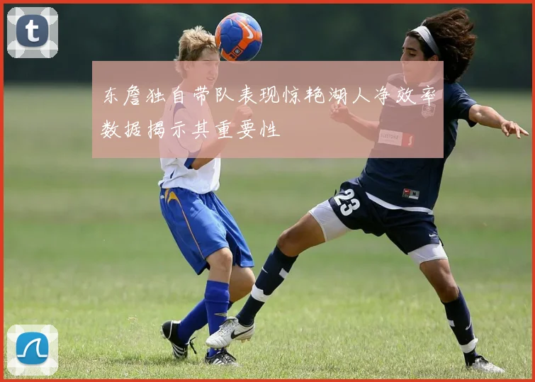 东詹独自带队表现惊艳湖人净效率数据揭示其重要性