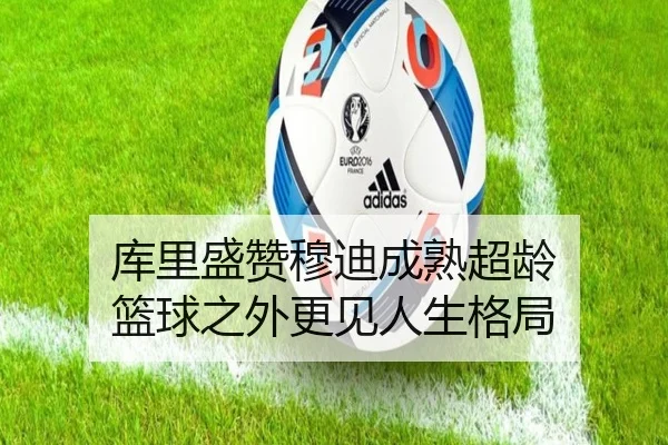 库里盛赞穆迪成熟超龄 篮球之外更见人生格局 - WukongSports